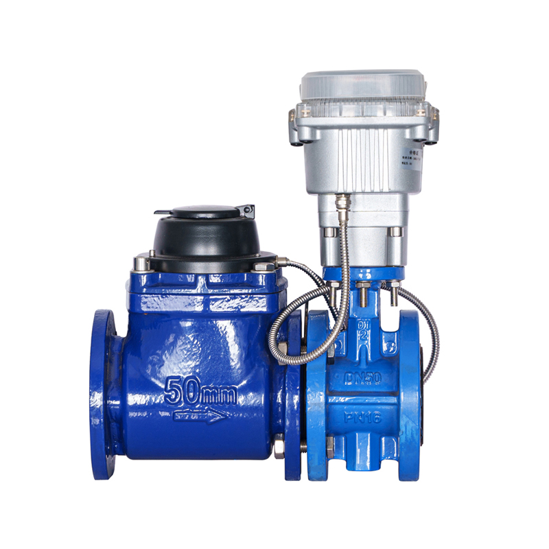 Medidor de agua controlado por válvula de ala de tornillo desmontable horizontal WPH DN50-DN200 (con válvula apilada)