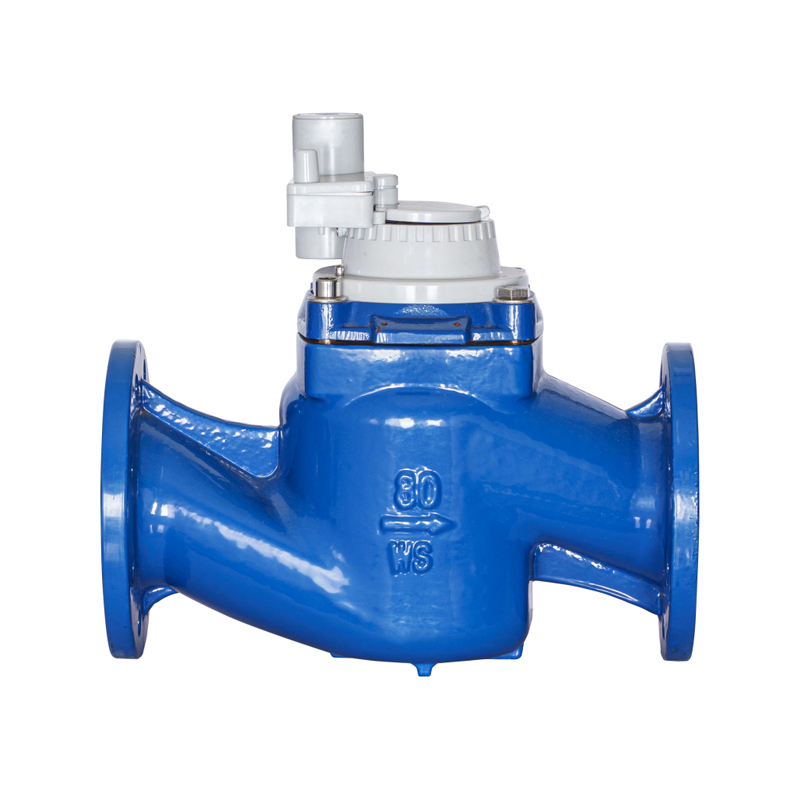 Contador de agua integrado no magnético desmontable de ala de tornillo vertical de alta precisión WS-DN40-DN200