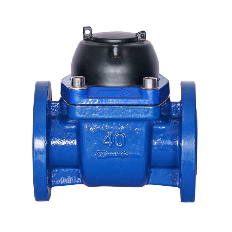 Medidor de agua de ala espiral horizontal WPH-DN40-DN65WPH