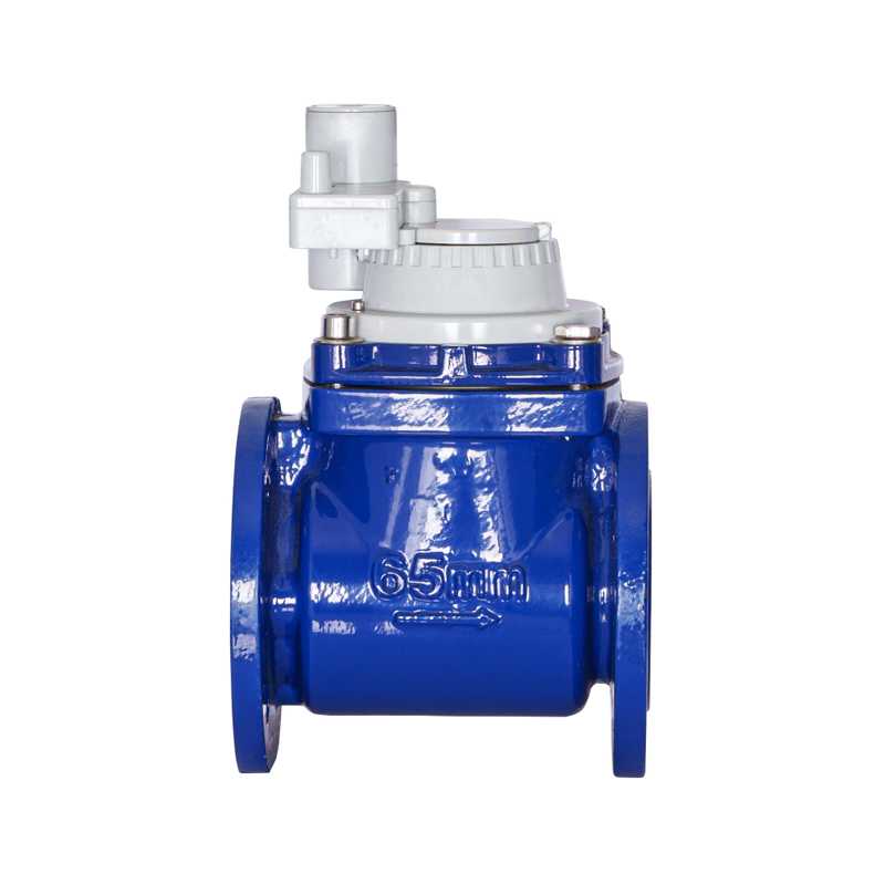 Medidor de agua integrado no magnético de ala de tornillo desmontable horizontal WPH DN50-DN200
